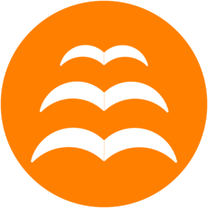 Literatour
