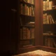 6 lugares improváveis onde já foram encontrados livros raros